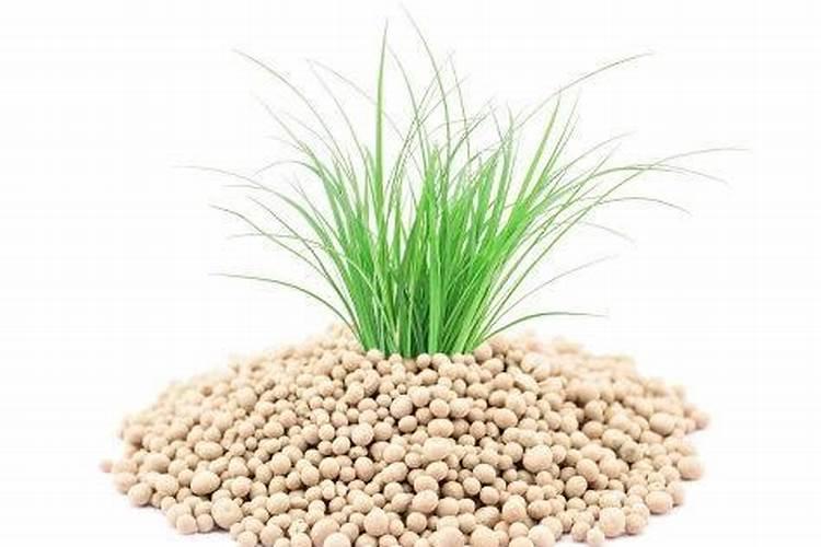 便宜肥料和贵肥料的区别在哪？优质肥料到底该怎么选
