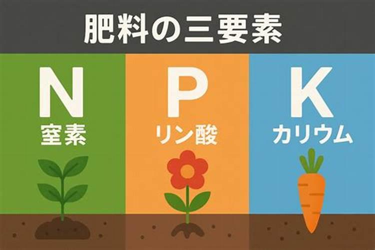什么是肥料三要素？