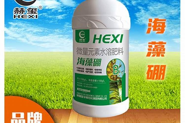 微量元素水溶肥海藻硼怎么用
