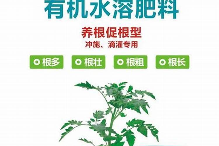 盈护农业:这银晃晃金灿灿的是啥肥？