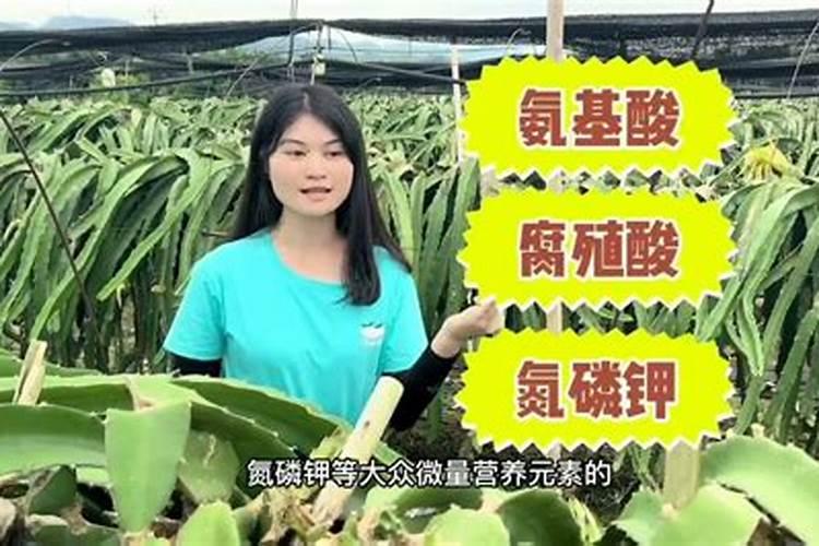 渔黑黑水溶肥最建议买的三样产品