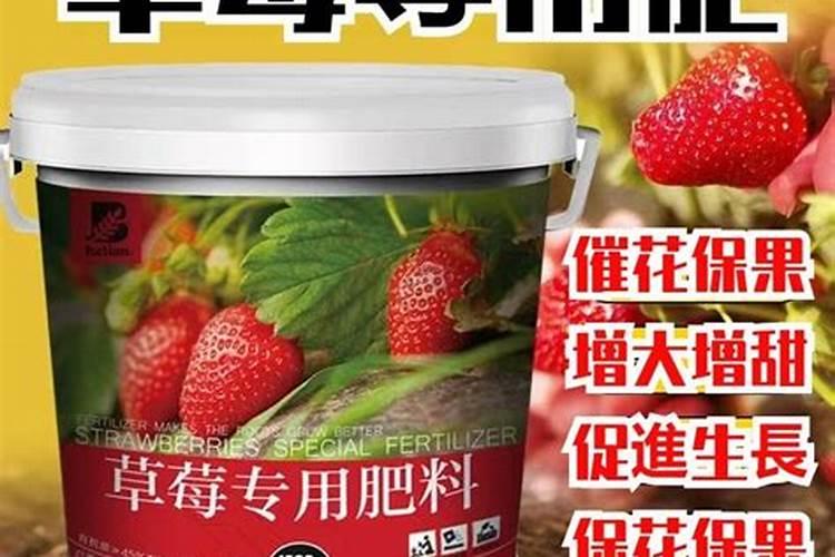 如何DIY草莓肥料