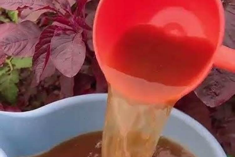 种鲜食土豆,想让口感好、淀粉多,用这钾肥管用不？