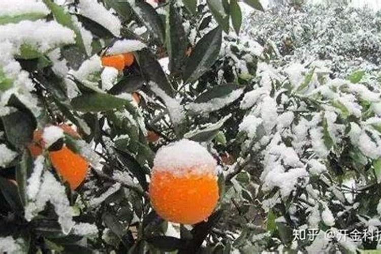 磷肥抗旱抗寒能力怎么样啊？