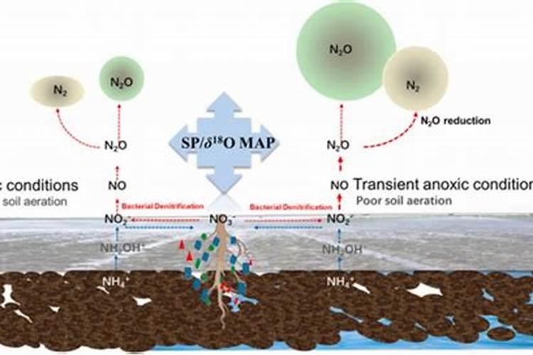 农田土壤n2o 排 放怎么计算