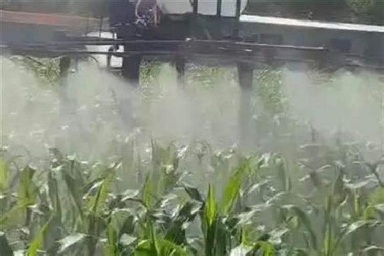 控旺药和叶面肥一起打吗有效果吗？