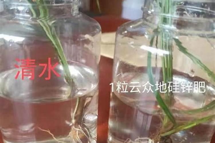 锌肥如何在水稻上使用效果好？