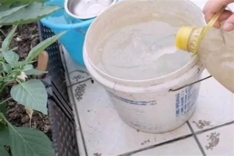 二胺化肥是什么肥