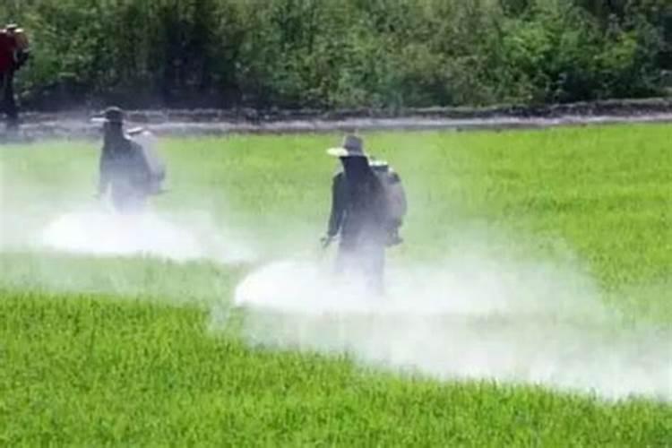 磷酸二氢钾喷施浓度
