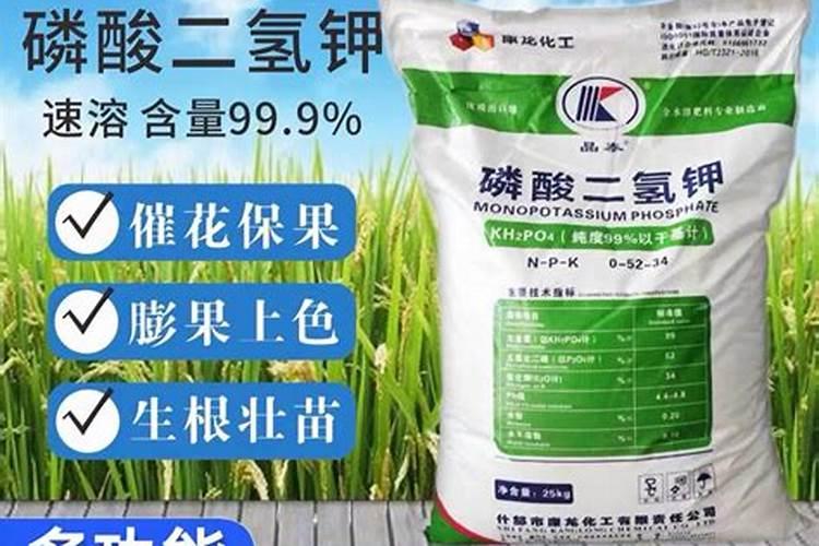 磷酸二氢钾有真有假,这7种辨别办法,助农民朋友买到真肥料
