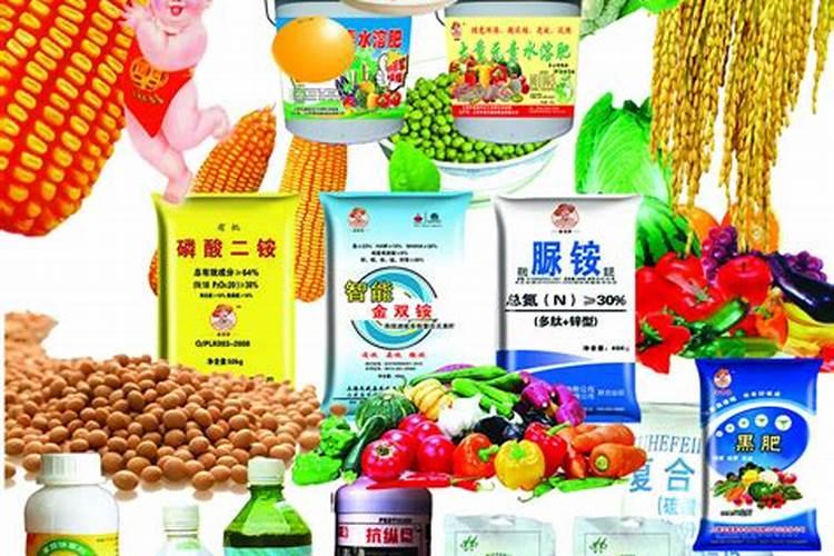 种子肥料农药店的经营范围