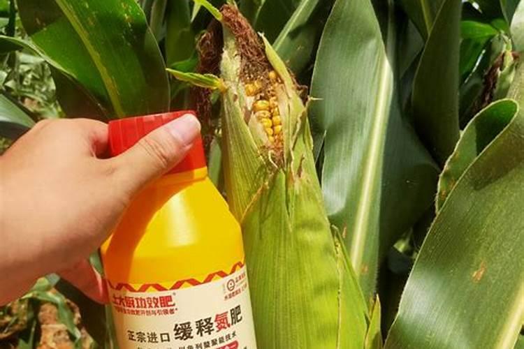 万年青花叶面肥怎么用效果好？