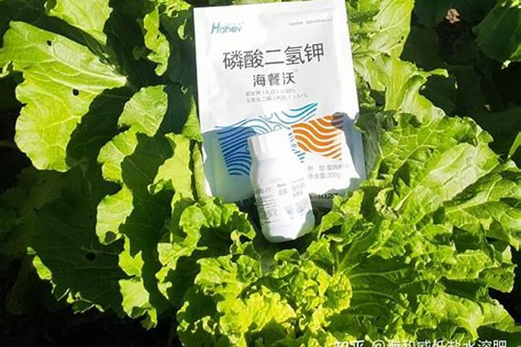 国产水溶肥哪个好