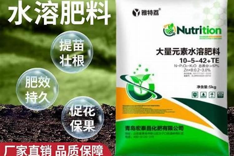 高氮高钾肥哪种好一点呢？