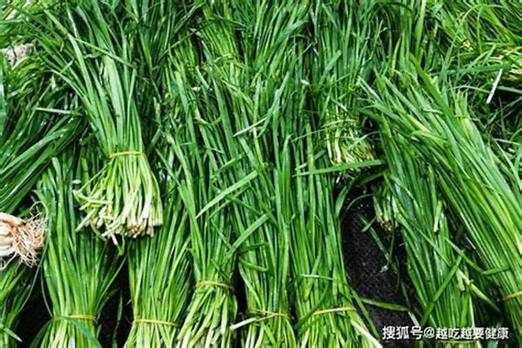 闰二月不能种韭菜吗
