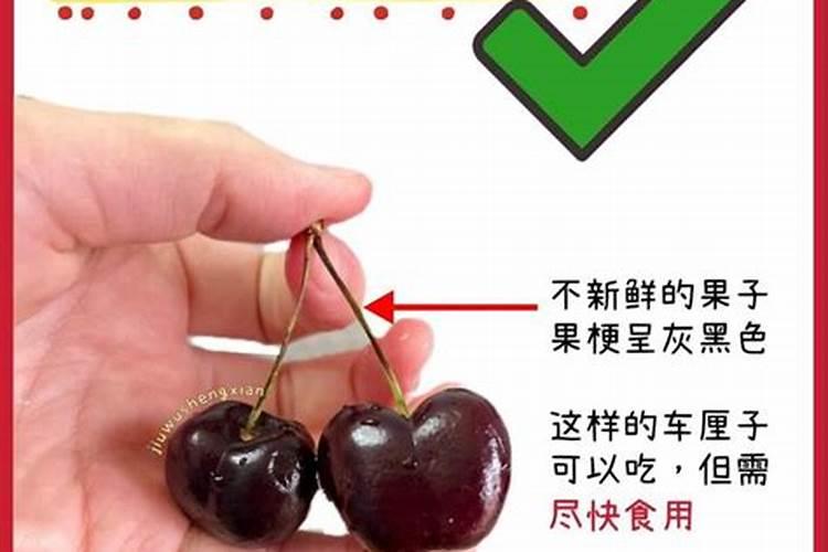 珊瑚车厘子开裂