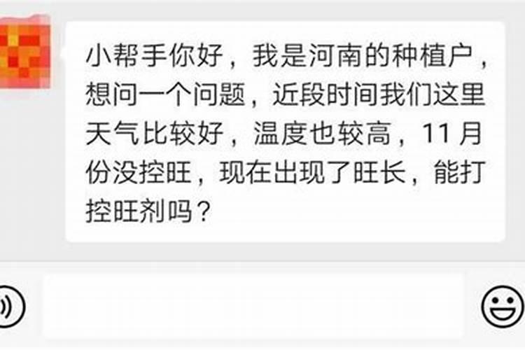 元旦将至,小麦还能打控旺剂吗？小帮手:3点原因不建议控旺