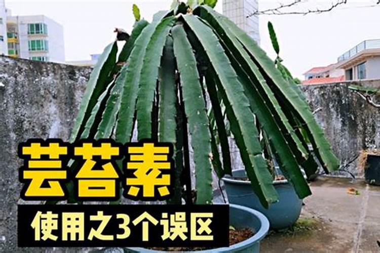 芸苔素不能乱用