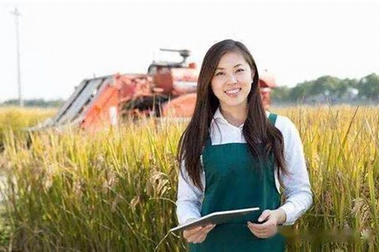 请问各位老师,硅谷肥料是什么样,效果怎样,那位老师知道拜托了。百度...