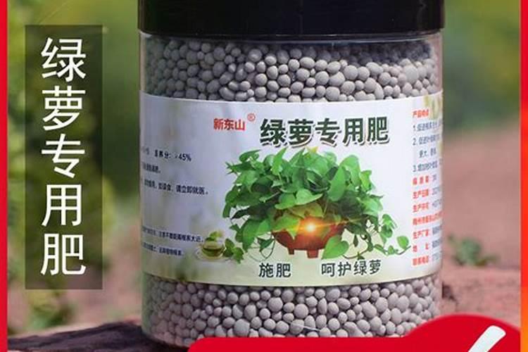 养绿萝氮肥用什么肥料？