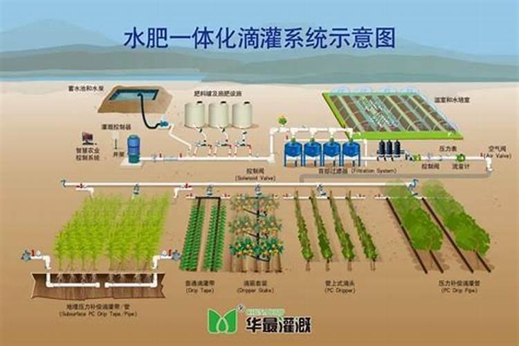什么是水肥一体化