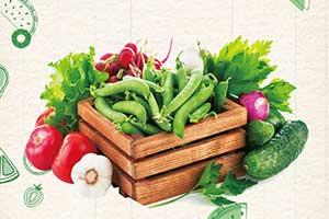 中量元素为什么这么重要？