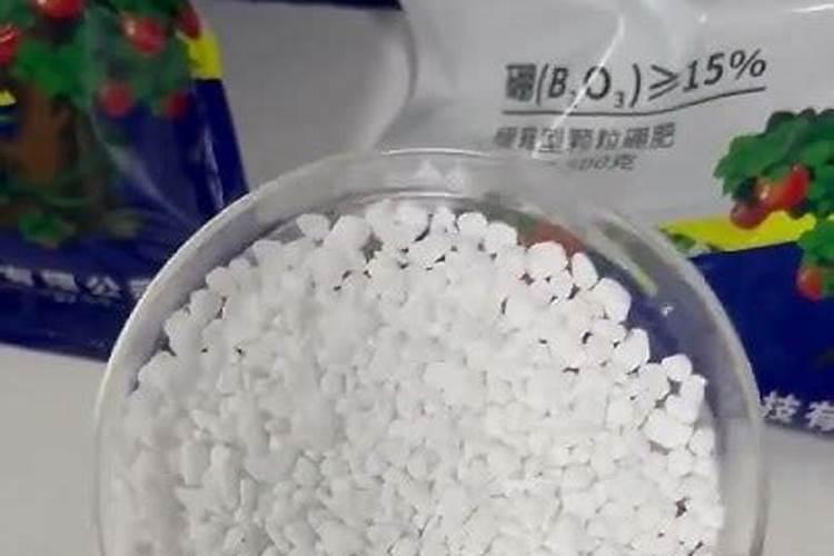 颗粒硼拌种小麦可以吗