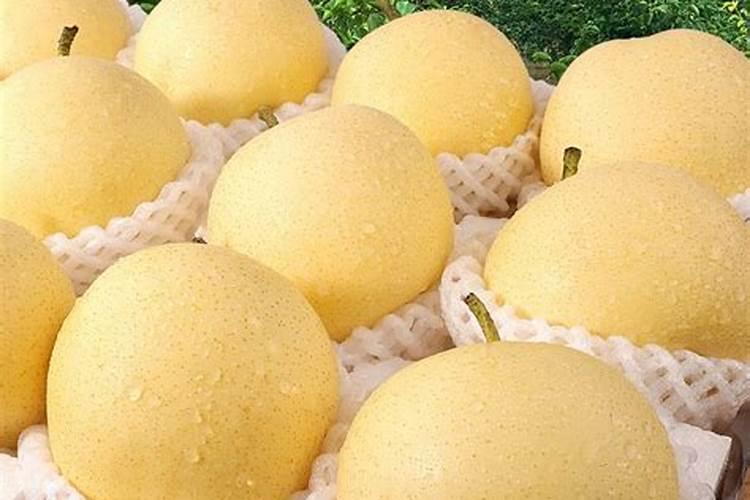 皇冠梨上什么化肥好