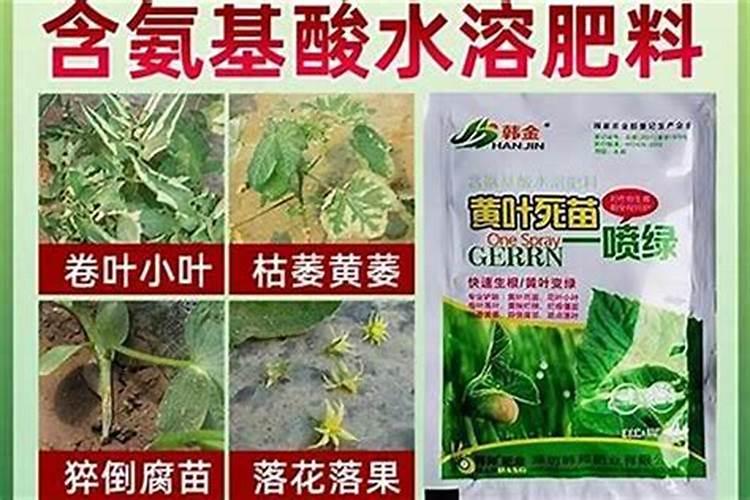 斤水溶肥兑多少水,水溶肥如何使用效果才好