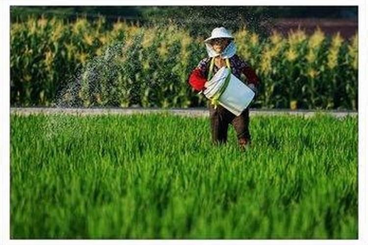 施用含锌肥料四注意