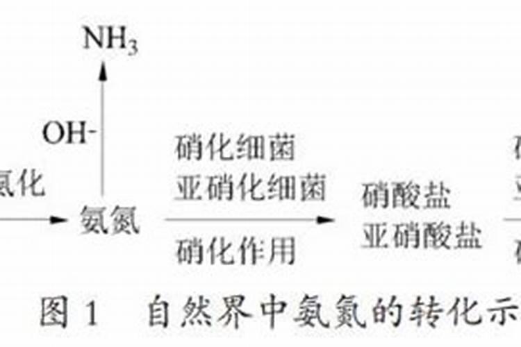 氮肥转化成氨后会被水冲掉吗