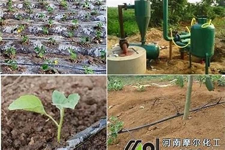 大量 元素水溶肥滴灌红薯可以吗一亩地用多少