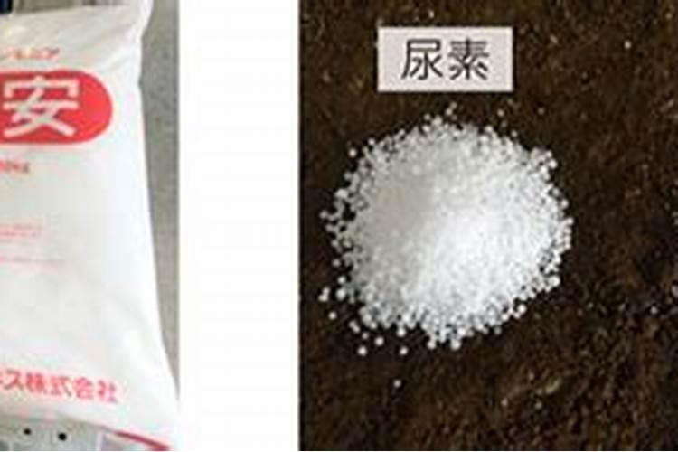 尿素肥料怎么使用