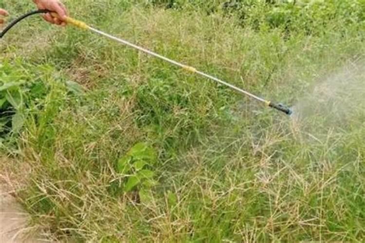 飞机打除草剂加芸苔素好吗