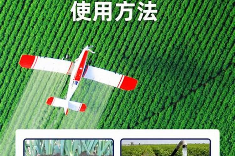 田植养482水溶肥的最佳使用注意事项