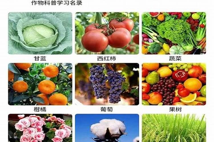 六园名复合肥好不好