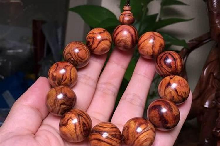 黄花梨施肥有没有用？