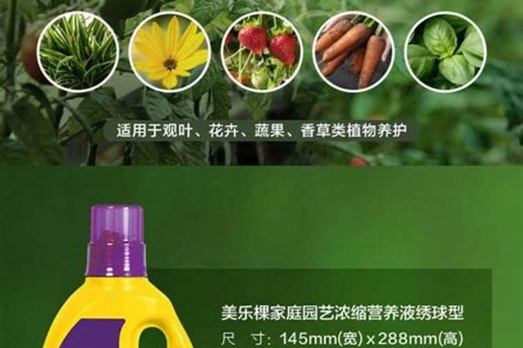 种黄花梨要用什么肥料