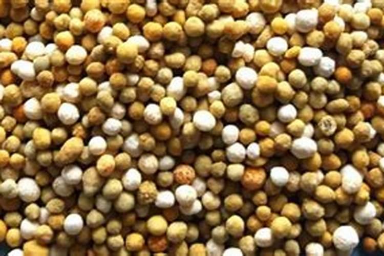 种微量元素肥怎么用最好？